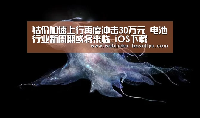 钴价加速上行再度冲击30万元 电池行业新周期或将来临_iOS下载(图2) Android下载