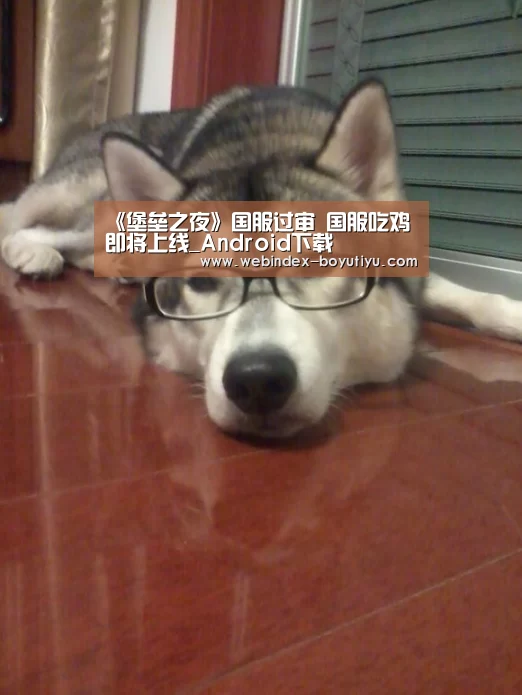 iOS下载